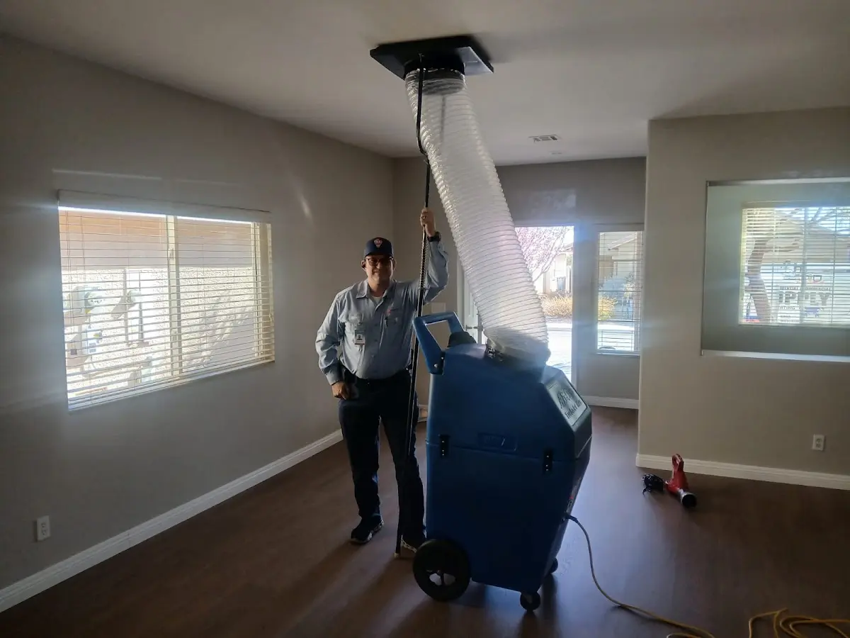 Professional Dryer Vent Cleaning work inside a Laurel home